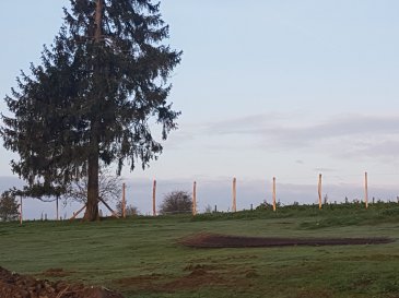 Hautbellain liegt im Norden Luxemburgs, eingebettet in eine ruhige ländliche Umgebung, nur wenige Minuten vom Zentrum Troisvierges entfernt. Die Region ist beliebt bei Grenzgängern nach Belgien und für alle, die naturnah und dennoch gut angebunden wohnen möchten. 

Besonderheiten des Grundstücks  
Attraktive Lage in einer ruhigen Anwohnerstraße (Duerefstrooss)  
Große Gesamtfläche ? ideal für Bauherren mit Raumanspruch  
Baulandanteil 12,95 Ar ? gut proportioniert und nutzbar  
Direkter Zugang zur Straße  
Bebauung nach kommunalen Vorgaben möglich  

Sofort verfügbar  

Ideal für Familien, Grenzgänger oder für eine großzügige Wohnlösung  

Hautbellain liegt im Norden Luxemburgs, eingebettet in eine ruhige ländliche Umgebung, nur wenige Minuten vom Zentrum Troisvierges entfernt. Die Region ist beliebt bei Grenzgängern nach Belgien und für alle, die naturnah und dennoch gut angebunden wohnen möchten.  

Besonderheiten des Grundstücks  
Attraktive Lage in einer ruhigen Anwohnerstraße (Duerefstrooss)  
Große Gesamtfläche ? ideal für Bauherren mit Raumanspruch  
Baulandanteil 12,95 Ar ? gut proportioniert und nutzbar  
Direkter Zugang zur Straße  
Bebauung nach kommunalen Vorgaben möglich  

Sofort verfügbar  

Ideal für Familien, Grenzgänger oder für eine großzügige Wohnlösung