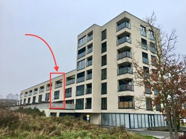 Lumineuse maison contemporaine avec 4 chambres à coucher se composant comme suit:

Sous-sol:
- 2 emplacements de parking privatifs en dessous de la maison
- cave avec buanderie (emplacement pour lave et sèche linge)
- coin vestiaire

Rez-de-chaussée:
- Hall d'entrée
- WC séparé
- Cuisine entièrement équipée
- Grand living / salle à manger avec accès sur la grande terrasse de ±40m2 (portes coulissantes) orientée sud-ouest sans vis-à-vis

1ier étage:
- 1 grande chambre à coucher avec son dressing, sa salle de douche et WC en suite
- 2 chambres à coucher 
- salle de douche avec WC

2ième étage:
- 1 grande chambre à coucher / master bedroom
- salle de douche avec lavabo et WC
- 1 grande pièce multifontionnelle pouvant servir comme bureau/chambre à loisirs comme p.ex bibliothèque, salle de jeux avec accès sur la 2ième terrasse privative de ±22,50m2 orientée sud-ouest sans vis-à-vis et offrant une vue dégagée sur la verdure et alentours. 