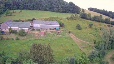 Pferdefreunde, Tierliebhaber, Autoschrauber & Sammler aufgepasst!

Ehemaliges landwirtschaftliches Anwesen mit vielseitiger Nutzungsmöglichkeit

Hier erwartet Sie ein Anwesen der besonderen Art: Über 20.000 m² Eigenland vereinen Wohnen, Hobby, Tierhaltung und Gewerbe an einem Ort – ideal für Menschen mit großen Plänen und noch größerem Freiheitsdrang!

Das Wohnhaus
(ca. 160 m² Wohnfläche):

Gemütliches Wohnzimmer
Große Essküche mit direktem Zugang zur Terrasse
4 Schlafzimmer
1 Badezimmer
Garten 
Keller & Garage

Der Stallbereich:

Offenstall mit rund 2 Hektar eingezäunter Wiese – perfekt für Pferde oder andere Tiere
Überdachtes Fahrsilo als zusätzliche Nutzfläche

Der Gewerbeteil (aktuell Schlosserei):
Gebäude 1: ca. 200 m² – Werkstatt & Fertigung
Gebäude 2: ca. 260 m² – Montagehalle, Büro mit WC und Küche, Materiallager
Gebäude 3: ca. 400 m² – große Halle
Gebäude 4: ca. 100 m² – Schuppen/Lagerfläche

Zukunftspotenzial:

Eine Bauvoranfrage zur Umnutzung des Scheunentrakts in Wohnungen wurde bereits positiv entschieden – hier steckt echtes Entwicklungspotenzial!

? Für weitere Informationen oder eine Besichtigung stehen wir Ihnen gerne zur Verfügung.