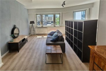 Veuillez contacter Enrico Xillo pour de plus amples informations :
- T : +352 691 117 865
- E : enrico.xillo@remax.lu

RE/MAX, Spécialiste de l'immobilier à Luxembourg, vous propose, en location, ce magnifique studio de 51 m², complètement rénové, situé au premier étage d'une petite résidence avec ascenseur, au centre de Luxembourg, proche de toutes commodités : supermarché, hôpital, bars et restaurants.
On est exactement à 5 min à pied de Place de Paris, donc très proche de la gare et des principaux arrêts des bus.
Le studio est composé d'une petite entrée, d'une salle de bain avec douche à l'italienne, d'une cuisine équipée, d'un grand salon très lumineux avec coin façon chambre à coucher et il y a une cave à disposition située dans le sous-sol.
Le studio est loué entièrement meublé, avec des meubles de goût et très contemporains.
Il s'agit d'une première location après rénovations, donc n'hésitez, soyez les premiers à louer ce joli studio.
Si vous cherchez un bon emplacement pour vivre temporairement où vous pouvez déplacer sans aucun stress, n'hésitez pas à me contacter.

Frais d’agence RE/MAX : 125 % du montant du loyer à la charge du locataire + TVA

____ English Text ____

Please contact Enrico Xillo for further information:
- Mobile: +352 691 117 865
- Email: enrico.xillo@remax.lu

RE/MAX, Real Estate Specialist in Luxembourg, is offering this magnificent 51sqm studio for rent. It is completely renovated, located on the first floor of a small residence with a lift, in the center of Luxembourg, close to all amenities such as supermarkets, an hospital, bars and restaurants.
We are a 5 minutes walk away from Place de Paris, so very close to the train station and the main bus stops.
The studio consists of a small entrance, a bathroom with Italian shower, an equipped kitchen, a large and very bright living room with bedroom-style corner and there is also a cellar available in the basement.
The studio is rented fully furnished, with tasteful and very contemporary furniture.
This will be the first rental after its renovations, so don't hesitate to be among the first to rent this pretty studio.
If you are looking for a good location to live temporarily, where you can move around without any stress, do not hesitate to contact me.

RE/MAX fees : 125% of the rent amount, payable by the tenant + VAT