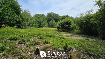 . À la lisière de la forêt, dans un cadre naturel et préservé, ce terrain constructible viabilisé de 1602 m2 offre un environnement idéal pour concrétiser votre projet de vie.
Avec sa surface généreuse et son atmosphère sereine, il constitue l'endroit parfait pour bâtir la maison de vos rêves.  
Libre de constructeur, vous bénéficiez d'une totale liberté pour imaginer et réaliser une habitation à votre image, en harmonie avec ce cadre verdoyant.
Viabilisation : Eau et électricité
Contactez-nous pour plus d'informations ou une visite