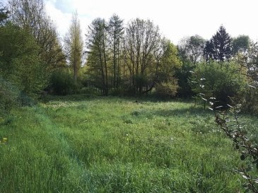 Terrain constructible
