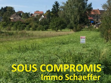 Terrain constructible