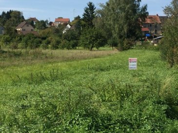 Terrain constructible