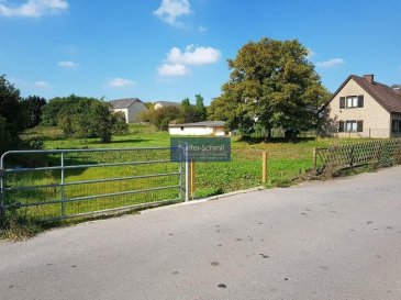 Terrain constructible