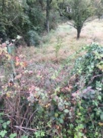 Terrain constructible