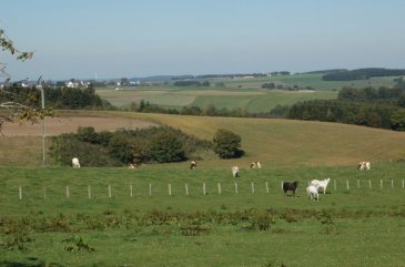 Grand terrain avec vue imprenable a vendre.
Ce terrain est pour construire une maison libre de 4 cotés et sans contrat de construction.