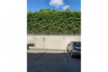 Veuillez contacter Franck Paul pour de plus amples informations :
- T : 691 657 074
- E : franck.paul@remax.lu

RE/MAX, Spécialiste de l'immobilier à Wormeldange, vous propose un parking extérieur à louer. Ce parking est situé dans une résidence calme et à proximité de la frontière allemande. L'emplacement se situe à proximité d'une station de bus permettant de se rendre, assez rapidement, à Luxembourg ou à Esch-sur-Alzette. Une station service avec un supermarché est disponible à quelques dizaines de mètres.
N'hésitez pas à me contacter pour de plus de renseignements.

Frais d’agence RE/MAX : 125 % du montant du loyer à la charge du locataire + TVA

_________ DEUTSCHE VERSION

Bitte kontaktieren Sie Franck Paul für weitere Informationen:
- Telefon: 691 657 074
- Email: franck.paul@remax.lu

Parkplatz zu vermieten in Wormeldange

Der Immobilienspezialist RE/MAX bietet einen Außenparkplatz in Wormeldange zur Miete an. Dieser Parkplatz befindet sich in einer ruhigen Residenz bei der deutschen Grenze. Es befindet sich in der Nähe einer Bushaltestelle, um ziemlich schnell nach Luxemburg oder Esch zu gelangen. Eine Tankstelle mit Supermarkt befindet sich nur wenige zehn Meter entfernt. Zögern Sie nicht, mich für weitere Informationen zu kontaktieren.

RE/MAX-Vermittlungsgebühren: 125% der vom Mieter zu zahlenden Miete + MwSt