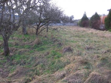 Terrain constructible