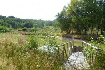 Terrain Saint-Nabord