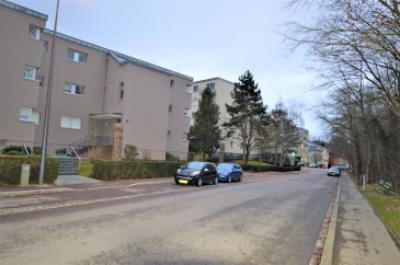 Luxcess21 vous propose en location: un beau studio (42,10m2) lumineux au r.d.ch d'une résidence dans une rue tranquille loin du trafique et en nature.
Un hall d’entrée avec placard intégré – une salle de bain avec fenêtre comprenant un WC, une douche et un lavabo – une grande pièce principale (parquet au sol) avec grandes vitres avec volets électrique et donnant sur la terrasse avec belle vue sur la pelouse à l’arrière de l’immeuble - une cuisine équipée ( lave- vaisselle,frigo,four) avec fenêtre – une grande cave privée avec raccord pour la machine à laver – parkings public devant l’immeuble avec vignette de stationnement – arrêt de bus à 30 mètres.