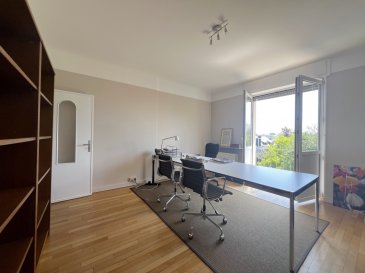 Located in the heart of Luxembourg City, this private office of 20 m² offers you an ideal working environment: calm, with an unobstructed view and a private balcony.

Situated on the 2nd floor of a prestigious building with an elevator providing direct access to the premises secured by an alarm, this office is part of a shared space currently occupied by a company.

You will benefit from functional and well-maintained common areas:

- A meeting room
- An equipped kitchenette
- Sanitary facilities with shower and WC
- A parking space included

Bus stop at the foot of the building, facilitating the movements of your collaborators or clients. 
Available immediately. 
Contact us to arrange a visit or for more information.

---

Situé en plein cœur de Luxembourg-ville, ce bureau privatif de 20 m² vous offre un cadre de travail idéal : au calme, avec une vue dégagée et un balcon privatif.

Installé au 2? étage d'un immeuble de standing avec ascenseur donnant un accès direct aux locaux sécurisés par une alarme, ce bureau fait partie d'un espace partagé actuellement occupé par une société.

Vous bénéficierez de parties communes fonctionnelles et bien entretenues :

- Une salle de réunion
- Une kitchenette équipée
- Des sanitaires avec douche et WC
- Une place de stationnement inclue

Arrêt de bus au pied de l'immeuble, facilitant les déplacements de vos collaborateurs ou clients.
Disponible immédiatement.
Contactez-nous pour organiser une visite ou pour plus d'informations.