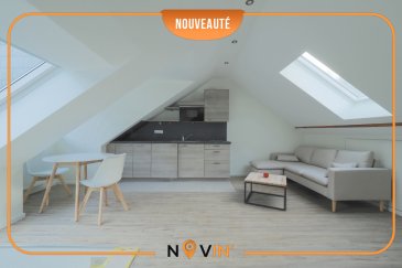 -----
English description below
-----

Charmant appartement meublé 1 chambre à coucher avec formule 