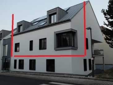 Duplex