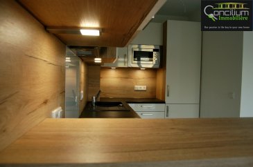 Duplex