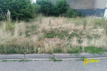 beau terrain à bâtir, 3A 80CA, plat , façade 20 m.  Centre village de Leyr, terrain à bâtir de 380 m2, plat avec une façade de 20 m, viabilités en bord de route.
 Les informations sur les risques auxquels ce bien est exposé sont disponibles sur le site Géorisques : www.georisques.gouv.fr