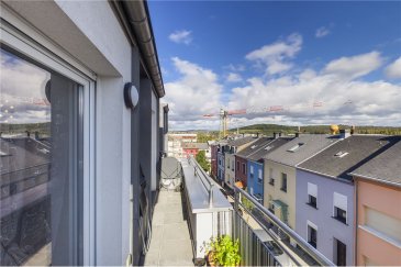 Veuillez contacter Philippe Mélard pour de plus amples informations :
- T : +352 661 405 446
- E : philippe.melard@remax.lu

(En exclusivité) RE/MAX, Spécialiste de l'immobilier à Rodange, vous propose ce magnifique appartement duplex de 108 m² (94 m² habitables). Il est idéalement situé dans une impasse et proche de toutes commodités (supermarchés, commerces, crèches, écoles, gare et arrêts de bus).
L'appartement se situe dans un quartier calme de Rodange.
L'immeuble date de 2008, l'appartement se situe au 2? et dernier étage (sans ascenseur) d'une copropriété bien entretenue de 6 unités.

L’appartement se compose comme suit :
- Une cuisine équipée de 6 m² ouverte sur le salon
- Un vaste salon de 40?m² donnant accès sur un balcon de X m²
- Une vaste chambre de 18?m²
- Une salle de douche avec WC de 5 m²

À l'étage :
- Une première chambre de 11 m²
- Une seconde chambre de 18 m²
- Une salle de bain de 8 m²


Autres composantes de cette vente :
- Cave privative de 3 m²


La résidence, comme l’appartement, sont très bien entretenus. Chauffage collectif au gaz. Pas de travaux à prévoir.
Une buanderie au rez-de-chaussée complète l'ensemble.
Résidence calme et très bien entretenue.Possibilité de parking à proximité.

Frais d’agence RE/MAX : 3 % du prix de vente à la charge de la partie venderesse + TVA