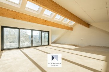 Située à Belvaux cette habitation orientée au sud est construite sur un terrain arboré de 15,17 ares, et dispose d'une surface totale de +/- 369 m2 dont +/- 317 m2 habitables et comprend 7 chambres.

Actuellement en cours de gros-œuvre terminé hors d'eau et hors d'air, elle peux être aménagée soit en tant que maison unifamiliale avec un logement intégré, soit en chambres d’étudiants.

Les plans joints permettent de voir un projet d'aménagement en tant que maison unifamiliale.

Les cloisons intérieures sont encore en partie à monter, les configurations possibles sont nombreuses.

La maison dispose d'un garage double indépendant.

Généralités :

- Construction 2018 ;
- Grand jardin, orienté plein sud ;
- Vue dégagée sur le jardin;
- Fenêtres triple vitrage, châssis en aluminium, stores électriques ;
- Chaudière 2018, chauffage par radiateurs, au sol pour le dernier niveau mansardé ;
- Passeport énergétique 