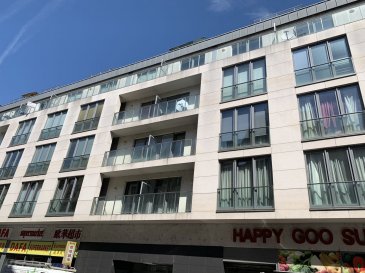 -- FR --

Très beau studio meublé au 3ième étage à l'arrière de la route de Strasbourg à louer à partir du 15 Septembre 2019. Ce studio est une véritable petite  maison sur le toit avec une terrasse immense de 55 m2. Chaque pièce (living avec cuisine éq. Chambre double lit avec penderie, salle de douche avec Wc et lavabo) a une grande fenêtre. Au premier sous-sol se trouve une cave privée avec machine à laver et sèche-linge.
La proximité de la gare, des grandes avenues avec transports publiques et commerces est certainement un des nombreux avantages. Visite sur demande et après présentation d'un dossier. 
Ref agence :103381