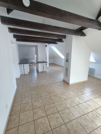 Appartement - Studio - 33m² - avec jardin. Studio de 33m²  au sol,  comprenant entrée avec placard, salle de bain avec machine à laver, lavabo, WC et Douche cabine, grand séjour mansardé avec cuisine ouverte équipée d'un four, lave vaisselle, réfrigérateur, meubles bas. 
Espace vert commun, cave privative
 au 0372640102