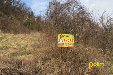 Terrain de 785m2 en vente 11000 EUR à Pompey.  Immobilier à la carte avec cette parcelle de 785m2 en pleine nature. Laissez vous tenter par cet espace de liberté alliant détente et cueillette en famille. Entrez rapidement en contact avec votre agence POLIM PAM pour planifier une visite.
Les informations sur les risques auxquels ce bien est exposé sont disponibles sur le site Géorisques : www.georisques.gouv.fr   