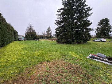 Terrain - 1500m ². PANETTA IMMOBILIER vous propose, 

Situé en pleine zone industrielle à LONGWY HAUT ! 
ZONE UX (exclusivement pour des activités économiques ou commerciales) 

Un terrain constructible d'environ 15ares, plat et très peu arboré.
Eau/électricité/gazà se situent en limite de propriété du terrain.
Un hangar de 80m² avec dalle béton et raccordé en électricité est disponible sur le terrain.

Emplacement idéal pour tous types d'activités.


Pour plus d’informations, veuillez contacter Monsieur COLSON Emmanuel au +33 7 81 30 24 02.

Les informations sur les risques auxquels ce bien est exposé sont disponibles sur le site Géorisques : www.georisques.gouv.fr