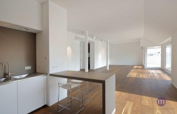 Penthouse très lumineux sis au 4e et dernier étage de 125 m2 comprenant: spacieux living de 58 m2 donnant sur cuisine équipée ouverte et sur agréable terrasse (orientée plein sud de +/- 33 m2), 1 chambre à coucher, dressing indépendant, salle de bains avec double lavabo, baignoire, douche à l\'italienne et fenêtre, WC séparé, hall d\'entrée avec placard, buanderie avec raccordement lave-linge et sèche-linge, cave, 2 emplacements souterrains.<br><br>Disponibilité de location pour la période du 01.09.2021 au 01.03.2023<br><br>Revêtement du sol: parquet (chauffage au sol). <br>Appartement de haut standing fait avec beaucoup de goût. Hauteur sous plafond: 2.90 m. <br><br>Quartier résidentiel de Belair près de tout commerce, bonne connexion bus, accès rapide vers autoroute. <br><br>