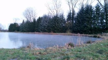 2 très beaux étangs à ADAINCOURT ( 30 km de METZ)  sur propriété de 3 ha 78 arborée. Idéal pour pêche et loisir.  