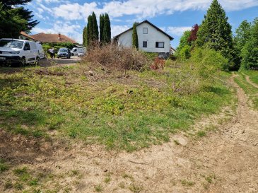 Terrain à SPICHEREN dans un environnement privilégié.

Découvrez ce superbe terrain à bâtir de 7 ares, bénéficiant d'une situation rare et particulièrement prisée en fin d'impasse, garantissant calme, intimité et sérénité au quotidien.

Offrant une place privilégiée cette parcelle s'inscrit dans un site verdoyant, bordée par forêts et champs, pour une atmosphère paisible et préservée.

Ce terrain constitue une opportunité pour donner vie à une propriété élégante et conjugue parfaitement un cadre de vie agréable et le confort de toutes commodités à proximité.

Le prix est de 95000€ frais d'agence inclus.