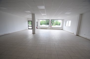 ImmoHouse vous propose en location ce superbe local commercial très lumineux idéalement situé à Bascharage.

Au sein d'une petite copropriété, ce local commercial de 140m² se compose de :

- Un grand espace de travail avec possibilité de séparer plusieurs compartiments
- Une salle de douche avec WC
- Un parking avec 4 places communes à disposition

Informations :
- Disponibilité : 01/08/2025
- Garantie : 2 mois de caution
- Frais d'agence : 1/2 mois de loyer plus TVA pour locataire et 1/2 mois de loyer plus TVA pour bailleur