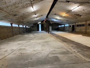 Hall de stockage, dimension 36mx14m =504m2
électricité et eau ,porte d'entrée 3mx3m.