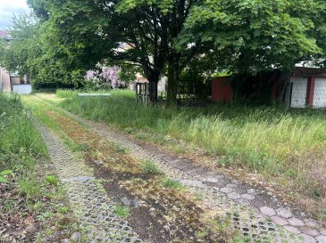 Florange terrain constructible de 3,21 ares avec CU, hors lotissement.  
Prix 109 000 € avec honoraire d'agence.
