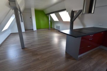 2 PIECES SCHWEIGHOUSE SUR MODER 68m² au sol. **Idéal investisseur**
SCHWEIGHOUSE SUR MODER, situé au deuxième et dernier étage d'une petite copropriété, charmant appartement 2 pièces comprenant une cuisine équipée ouverte sur le séjour, une chambre avec rangements aménagés, une salle de bain avec douche et un WC séparé.
Chauffage électrique individuel.
Pas de travaux à prévoir.

De plus, l'appartement comprend un garage fermé.

Le bien est vendu loué.
Loyer actuel : 550EUR HC

Montant moyen annuel du budget prévisionnel : 630EUR~Nombre de lots : 10 (garages inclus)~
Prix : 121 000EUR ~Honoraires inclus charges acquéreur : 2,54%~(Prix 118 000EUR hors honoraires) (2.54 % d'honoraires TTC à la charge de l'acquéreur.)
Copropriété de 10 lots (Pas de procédure en cours).
Charges annuelles : 600.00 euros.
