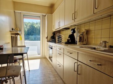 Appartement au 5ième étage, avec une surface utile habitable de 74 m2, composé comme suit :

Hall d'entrée, cuisine équipée avec loggia de 3 m2, séjour/salle à manger, salle de douche avec raccord lave-linge, deux chambres à coucher (14 m2 et 11 m2), dont une avec balcon

Sous-sol : une cave privative

L?immeuble est situé sur l'axe principal vis-à-vis de la gare avec tous ces transports publics. Le centre de Esch avec ses commerces se trouve à quelques minutes à pied. Accès facile aux grands axes routiers.

Pour tous renseignements supplémentaires ou pour convenir un rendez-vous pour une visite, n'hésitez pas à nous contacter au (+352) 691 400 705 ou par email : info@17b.lu