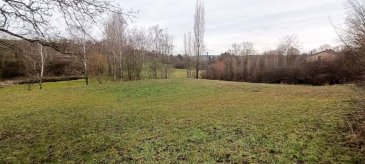 Rare à la vente : Terrain constructible avec 42m de façade Proche Boulay-Moselle (57220).
Description : Situé dans un environnement calme et préservé, à seulement quelques minutes de Boulay-Moselle, venez découvrir ce magnifique terrain plat offrant un potentiel exceptionnel pour votre futur projet de construction.
Le point fort de ce bien ? Une largeur de façade d'environ 42 mètres, idéale pour une maison de plain-pied, une architecture contemporaine, ou même une division parcellaire.
Les caractéristiques clés :
•	Localisation : Lieu-dit RICRANGE – Commune d’OTTONVILLE (57220), soit à proximité immédiate de Boulay-Moselle (accès rapide aux commerces, écoles et axes autoroutiers A4).
•	Configuration : Terrain spacieux et bien exposé.
•	Viabilisation : Non viabilisé, mais réseaux (eau et électricité) situés en bordure immédiate, facilitant les futurs raccordements.
•	Environnement : Secteur résidentiel paisible, cadre verdoyant.
Pourquoi choisir ce terrain ? Sa façade hors norme vous offre une liberté architecturale rare sur le secteur. Profitez de la tranquillité de la campagne tout en restant à proximité des services urbains.
Situé hors lotissement, il est libre de construction. 
________________________________________
Contact :
Pour plus d'informations ou pour organiser une visite, n'hésitez pas à contacter notre commercial Gérard STOULIG (EI) par téléphone au 06 03 40 33 55 ou par mail : agenceabel@gmail.com. 

NB : Les frais d’agence sont à la charge du vendeur.