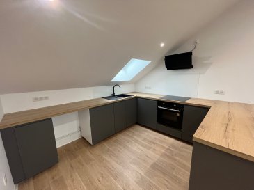 Appartement F3 de 45.60m2 (carrez) situé au 3ème et dernier étage. Cet appartement entièrement rénové comprend entrée, cuisine équipée moderne (four plaque hotte) ouverte sur séjour, deux chambres, salle de bain (baignoire) et WC. Une cave.
Velux double vitrage, chauffage individuel gaz.
Les charges comprennent : entretien chaudière, électricité des communs, taxe ordures ménagères.