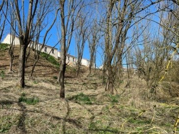 Terrain constructible de 1842m2 situé hors lotissement et bénéficiant d'une vue dégagée sur la campagne environnante.
Ce terrain divisible en 2 lots de 840m2 pour le lot A et de 1002m2 pour le lot B permet de réaliser un ensemble de deux maisons jumelées d'une surface de 110m2 hors garage (29.30m2).
Permis de construire validé.