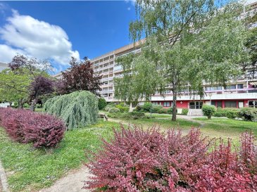 THIONVILLE Centre
(1ère ville frontalière France-Luxembourg)

Idéal pour Investisseur, bon rendement de 7%

Bel appartement une chambre  à coucher situé à trois minutes du centre ville, de ses rues piétonnes et de tous ses commerces.
La gare centrale ferroviaire se trouve à 6-7 minutes du logement.

L'appartement à vue sur le grand parc avant de la résidence.
Très en retrait de la voie communale, la résidence est cachée par le parc 

Dès l'entrée, le hall distribue avec courtoisie toutes les pièces de vie de l'appartement.

La belle cuisine équipée ouverte avec le séjour bénéficie d'une belle clarté naturelle avec ses grandes fenêtres.

Un dressing est installé dans le grand débarras (Chaufferie) ainsi que l'emplacement de la machine à laver.

Un WC séparé directement à l'entrée du logement complète le hall d'entrée.

Pour toutes questions ou demandes d'informations, n'hésitez pas à nous contacter, nous serons toujours à votre service.

Agence ELSA'HOME à votre écoute pour la concrétisation de vos projets en toute confiance.

-----------------------------------------------------------------

THIONVILLE Center
(First city on the France-Luxembourg border)

Ideal for investors, good yield of 7%

Beautiful one-bedroom apartment located three minutes from the city center and all its shops.
The central train station is 6-7 minutes from the apartment.

The apartment overlooks the large front of the residence.

Set well back from the main road, the residence is hidden by the park.

Upon entering, the entrance hall gracefully leads to all the living areas of the apartment.

The beautiful open-plan kitchen and living room benefit from beautiful natural light thanks to its large windows.

A walk-in closet is located in the large storage room (boiler room), as well as the washing machine.

A separate toilet directly at the entrance completes the entrance hall.

For any questions or information requests, please do not hesitate to contact us; we are always at your service.

ELSA'HOME Agency is here to help you bring your projects to fruition with complete confidence.