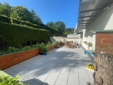 Immo Nordstrooss vous propose un bel appartement de +/- 82 m² situé au rez-de-chaussée d'une charmante résidence sis à Weiswampach construit en 2012 avec grand terrasse de +/- 65m2 privatif.

L'appartement est en très bon état et peut (sur demande) être vendu partiellement meublé.

Cet appartement vous offre :

Entrée 5 m²
Toilettes séparées 3,5 m²
Salle de bains 8 m²
Chambre 1 13 m²
Chambre 2 12 m²
Salon et salle à manger 35 m²
Cellier / débarras à côté de la cuisine 6 m²
De plus, une terrasse de 65 m² est accessible depuis le salon ainsi que depuis une des chambres.

L'appartement comprend également une place de parking en garage séparée (20 m²), une cave de 5 m² (directement devant la place de parking) ainsi qu'une place de stationnement extérieure.

Petits extras :
Le bâtiment dispose d'un ascenseur, l'appartement est orienté au nord, la terrasse est équipée d'une pergola électrique, et toutes les fenêtres sont munies de moustiquaires.
Disponibilité de suite.

La classe énergétique du bâtiment est C et les charges mensuelles s'élèvent actuellement à 290,00 €.

Les transports en commun, les commerces, les cabinets médicaux et le lac de Weiswampach sont accessibles à pied en 5-10 minutes.

Pour tout renseignement complémentaire ou information veuillez nous contacter par email info@immonordstrooss.lu ou par Tél: 691 850 805.

Proposition de crédit/financement à taux compétitif auprès des banques Luxembourgeoise incluse dans nos services gratuits.