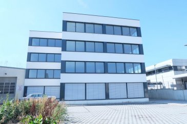 LUXEMBOURG CLOCHE D'OR, Immeuble à bureaux à 4 étages neuf à louer situé à la rue Eugène Ruppert, de 800  m2 habitable desservi par deux ascenseurs. Il est composé comme suit: 2ème étage bureaux open space à cloisonner,  toilettes, local technique, 
Sous sol: plusieurs places de parking à louer au prix de 200 euros 
Les surfaces sont divisibles et peuvent être cloisonnées, 
L'immeuble est équipée de : triples vitrages, façade isolante, air conditionné, fenêtres closes, faux plafonds, deux ascenseurs,  
Les plateaux peuvent êtres loués séparément ou en totalité 
Prix hors charges sans parkings : 19.000 euros 
