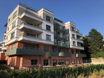 Appartement - Luxembourg-Belair