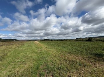 À vendre – Grand terrain à Rémilly (355,04 ares dont 122,90 ares constructibles)

À Rémilly, découvrez ce vaste terrain d’une superficie totale de 355,04 ares, dont 122,90 ares plats et constructibles.

Idéalement situé à proximité immédiate des voiries, ce terrain offre un accès aisé tout en bénéficiant d’un environnement calme, verdoyant et dégagé.
Son potentiel en fait un emplacement de choix pour un projet de construction résidentiel ou d’aménagement à plus grande échelle.

Terrain non viabilisé.

Une belle opportunité pour les investisseurs, promoteurs ou particuliers en quête d’un cadre agréable, à la fois proche des commodités et ouvert sur la nature.

Pour consulter les informations détaillées concernant les risques naturels et technologiques, rendez-vous sur le site du gouvernement : georisques.gouv.fr