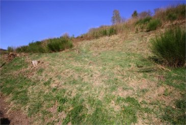 Terrain Fresse-sur-Moselle