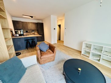Le Bureau Immobilier Loewen-Kill présente à la location cet appartement au premier étage d'une résidence avec ascenseur, se composant comme suit:

-Hall d'entrée
-Salon/salle à manger avec cuisine équipée et aménagée ouverte
-Chambre à coucher
-Salle de douche

Le bien est complété par:
-Une buanderie commune
-Une cave privative d'une surface d'environ 4m2
-Un emplacement de parking intérieur avec prise électrique 

Nous sommes à votre disposition pour tout renseignement complémentaire et un rendez-vous de visite:
contact@loki.lu

Les honoraires s'élèvent à un mois de loyer augmenté de la TVA en vigueur, partagés équitablement entre le locataire et le propriétaire.