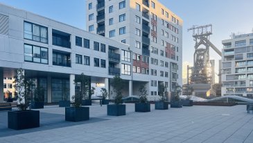 À VENDRE

Studio situé à Belval Plaza II.  
commune Esch-sur Alzette.  

- Séjour  
- Cuisine équipée  
- Salle de douche / buanderie  

- Cave  

Situation agréable et tranquille  

À proximité : centre-ville, école, crèche, maison relais, commerces, accès autoroute, arrêt de bus, forêt, aire de jeu.  

Nous vous invitons à contacter :  
Moura Jemp  
Tél: +352621216646