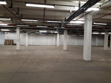 RE/MAX Luxembourg spécialiste de l'immobilier, vous propose à Trèves un entrepôt (qui est à 30minutes du Findel au Luxembourg) à la location de 15 000 m2, pour stockage qui peut être divisé par plusieurs locataires et 600 m2 de bureau.

Prix : entrepôt pour stockage à partir de 2,50€/m2 (possibilité d'avoir de l'électricité pour 1? de plus mensuellement) et pour la partie bureau s'élève à 5,50€/m2.

Caution : Trois mois

La commission d'agence s'élève à 1 mois de loyer + TVA payable par le locataire.

Disponible de suite.

SIMOES Michael
+352 691 680 986
michael.simoes@remax.lu
Ref agence :5096284