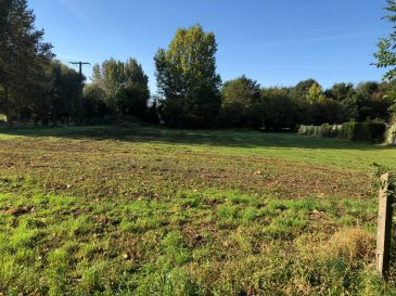 Terrain constructible