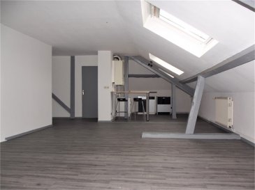 Appartement Hayange