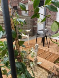 coliving - chambre dans maison 
Lille -106 rue de condé, face a un parc
Secteur  V. Hugo/ Jean Baptiste Lebas /Parc st Sauveur
Location à la chambre .
1 chambre dans une Maison de ville rénovée entièrement, équipée et décoration de très bon goût, au calme pour loger en toute sérénité. 
L'entrée sur la cuisine entièrement équipée, séjour et salle à manger, salle de douche /toilette .
Au 1er étage 1 chambre- salle de bain (baignoire/toilette ) palier.  
Au second: 2 chambres
Cave et jardinet de ville conforteront votre choix -
Commerces- Métro- vélos-Bus-proche axes routiers 
Loyer par chambre( 700 euros avec prov.charges: eau, électricité, gaz, internet +ménage des espaces communs).
Honoraire par chambre 400 € état des lieux compris 
Exclusivité Barbara IMMOBILIER
0666924628