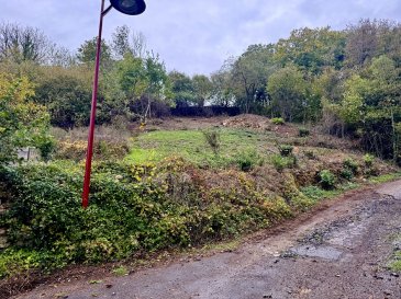 TUNTING
 Joli hameau faisant partie de la commune de MANDEREN-RITZING

À proximité du LUXEMBOURG (Schengen) et de l'ALLEMAGNE (PERL)

Au calme, avec une jolie vue

Terrain constructible ( zone UB) non viabilisé, réseaux à proximités
Libre de constructeur et hors lotissement
Façade d'env 21 m, terrain en pente.

 Si vous êtes à la recherche d'un environnement calme, proche de la nature et tout en étant à proximité des commerces, écoles et axes autoroutiers, alors ce terrain est pour vous.